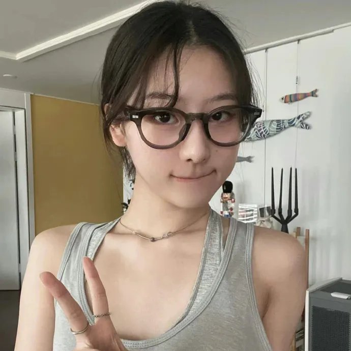与鲨同游